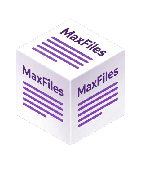 MaxFiles Processing Hub